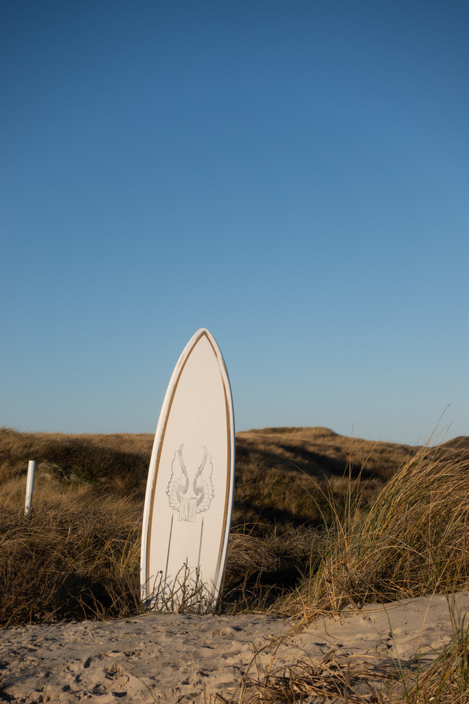 DSC03856 | AHORN PHOTOGRAPHY - Realizzato con Pictrs.com