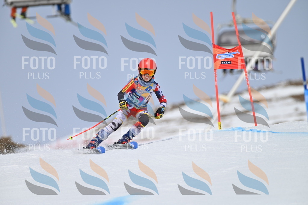 BGV_3695 | holidayphoto