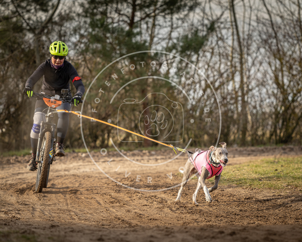 Pfotenfotografie_DV3A8573 | Hundefotografie, Tierfotograf, Pfotenfotografie, Fotoshooting Hund, Hunde Portrait, Hundesport, Hundeportraits, Heideshooting, Hunde, Sportfotograf, Hundefotograf, Turnierhundsport, THS,  - Realisiert mit Pictrs.com