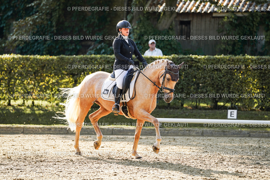 DSC05860 | Pferdegrafie