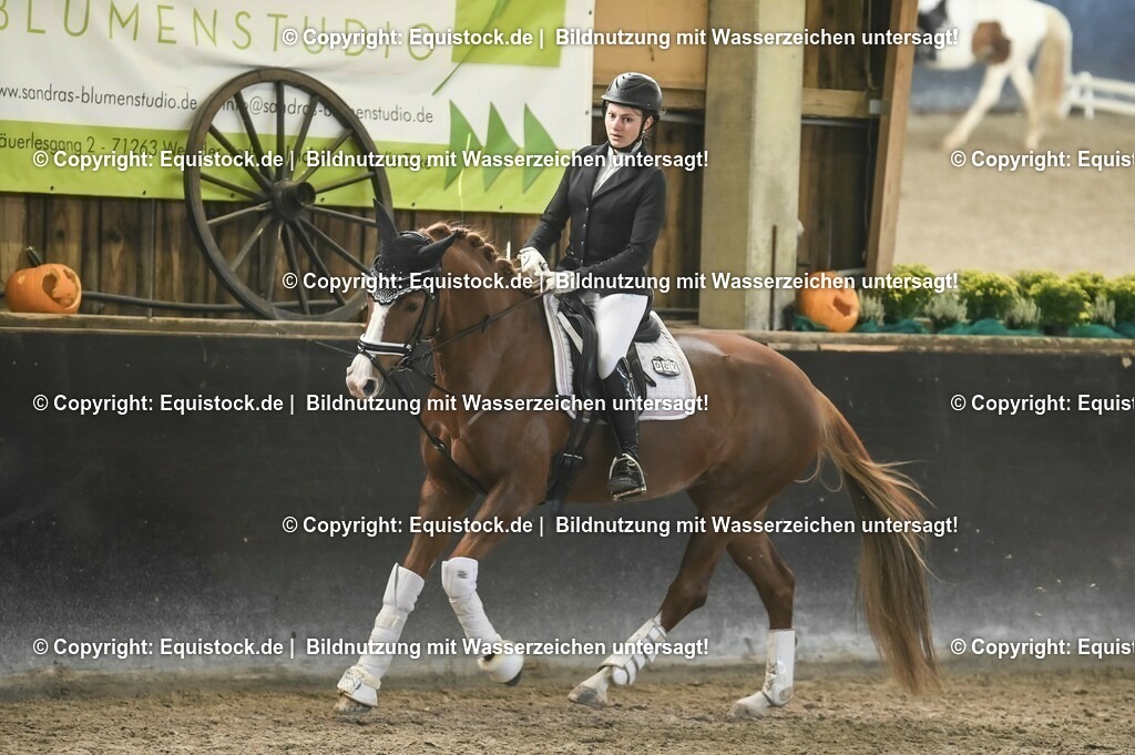 03_Reiter-WB_0184 | Foto: Thomas Hartig