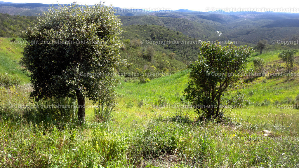 Steigung und Ausblick Richtung Vermelhos, Serra do Caldeirão, Algarve | Steigung und Ausblick Richtung Verrmelhos, Serra do Caldeirão, Algarve - Realisiert mit Pictrs.com
