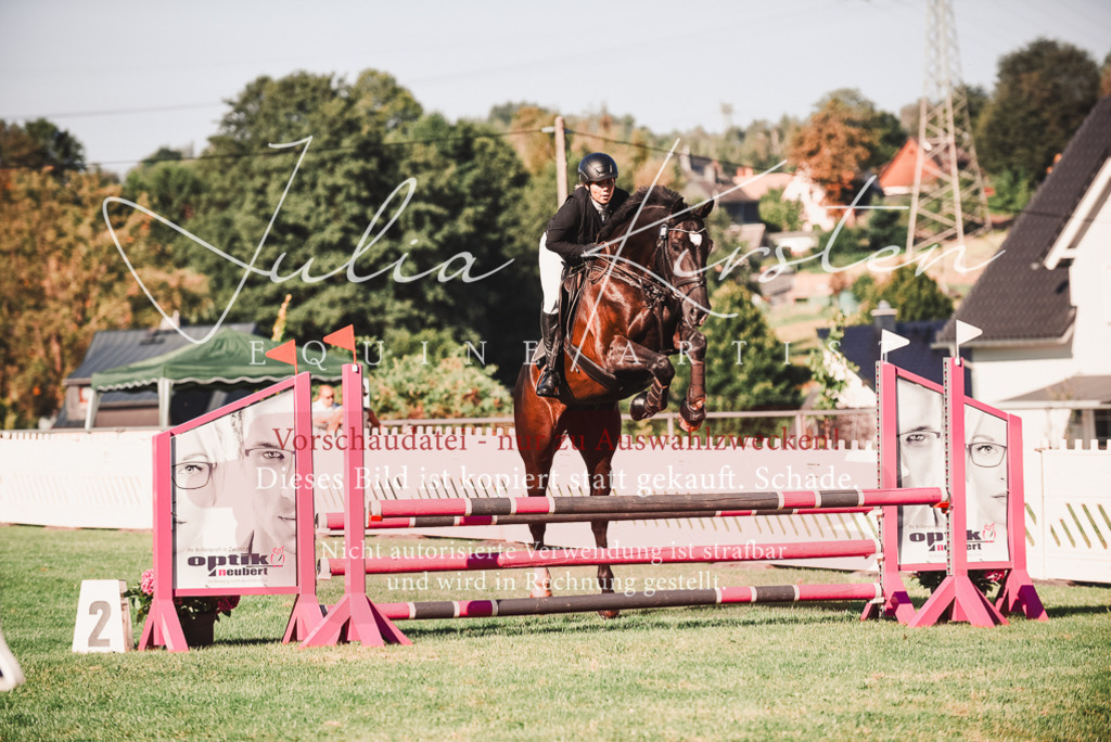 DSC_2253 | Pferde- und Turnierfotografie in Westsachsen. Pferdeportraits, Auftragszeichnungen und intuitive Kunst.