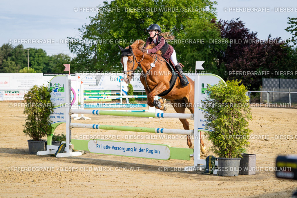 DSC02804 | Pferdegrafie