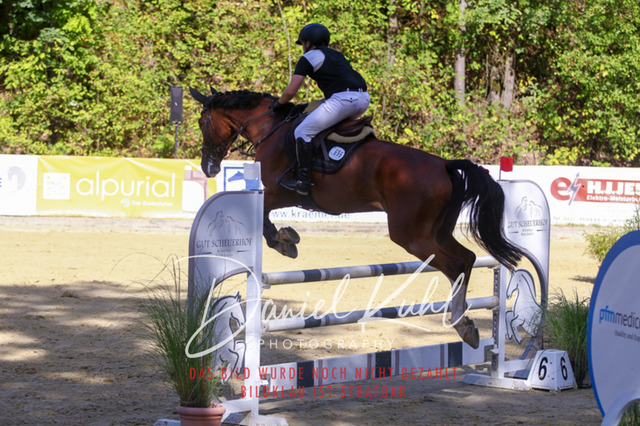 DKP43435 | Turniersportfotografie; Pferdefotografie; Dressurfotografie