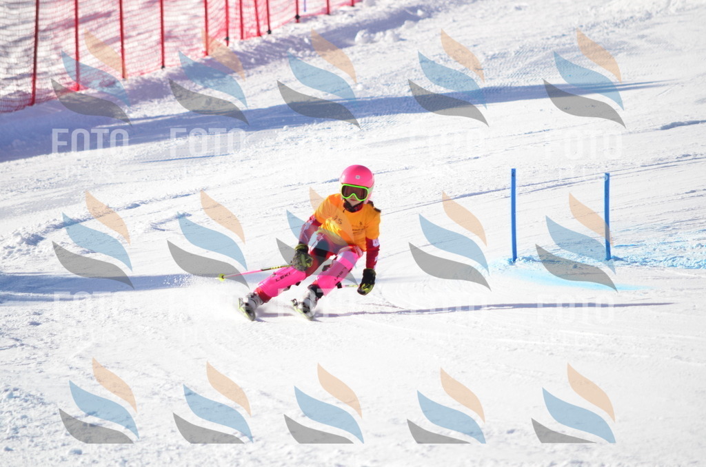 C5919 | holidayphoto