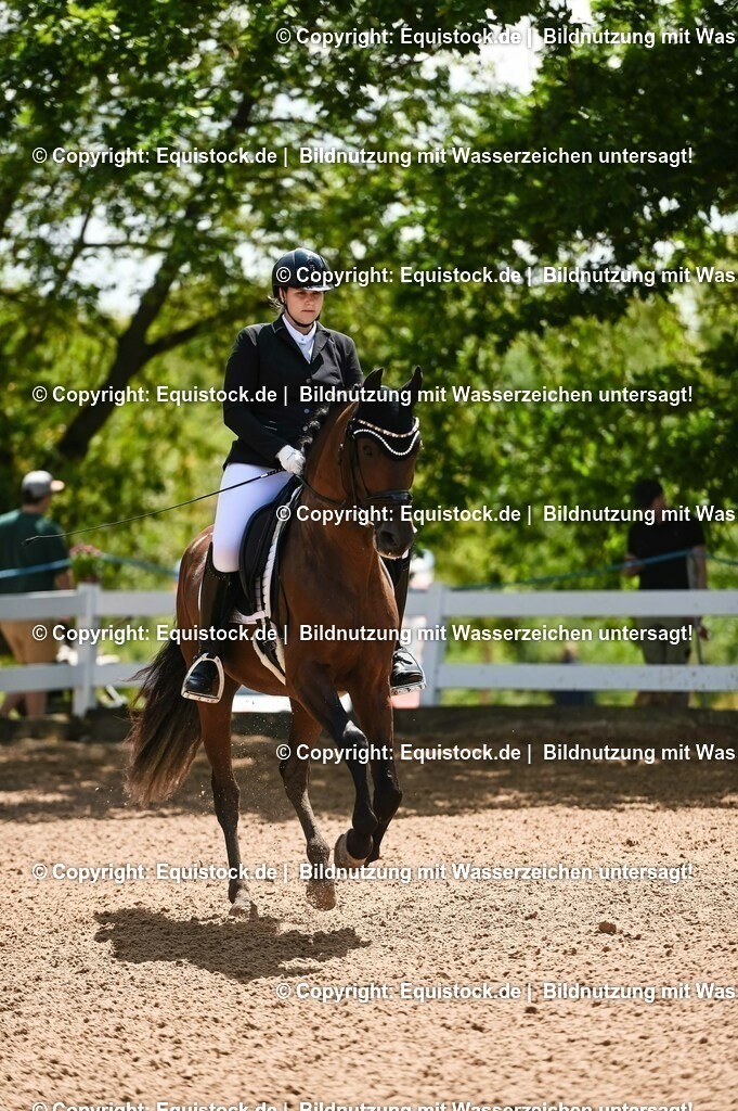 20230716_03_Dressurprfg. Kl.L - Tr._0118 | equistock