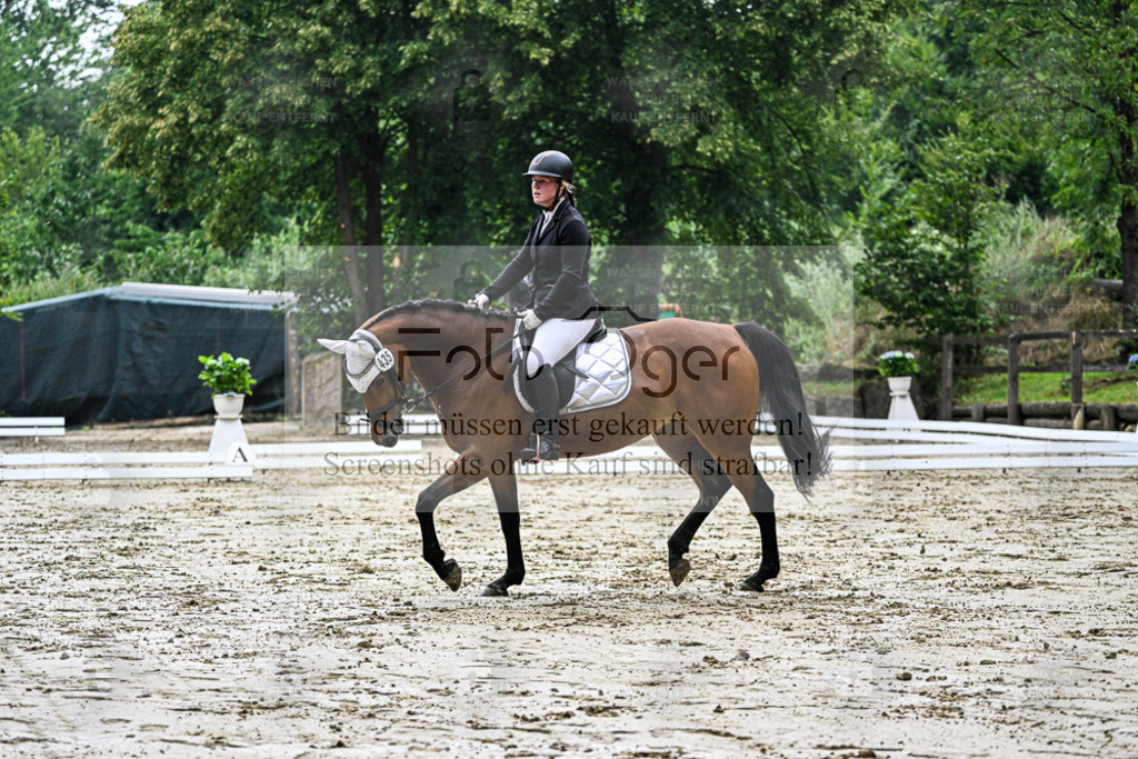 Bissendorfer Reitertage | Entdecke hochwertige Reitturnierfotos von Foto Oger. Professionell, emotional und authentisch – jetzt Lieblingsmomente im Shop bestellen. - Realisiert mit Pictrs.com