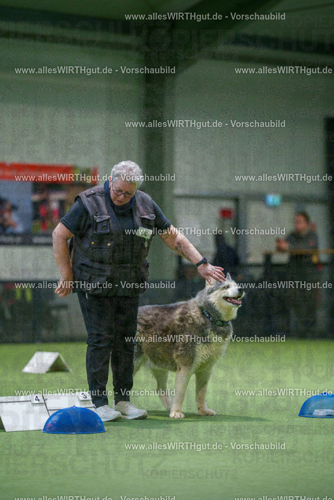 7R504381 | Professionelle Tierfotografie in Mönchengladbach von Daniel Wirth (allesWIRTHgut). Liebevolle & natürliche Bilder von Hunden & Katzen für unvergessliche Erinnerungen.