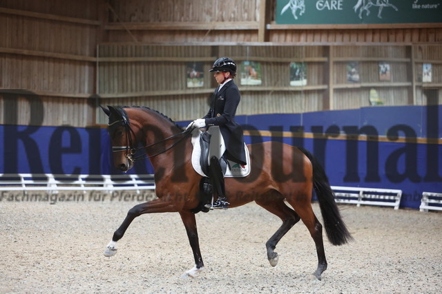 Zeutern_2024_Prfg.Nr.04_Inter I_Dorothee Schneider__lys_e GV (8) | Alle Fotos der Reiterjournal Fotografin Doris Matthaes im Reiterjournal Online-Fotoshop. - Realisiert mit Pictrs.com