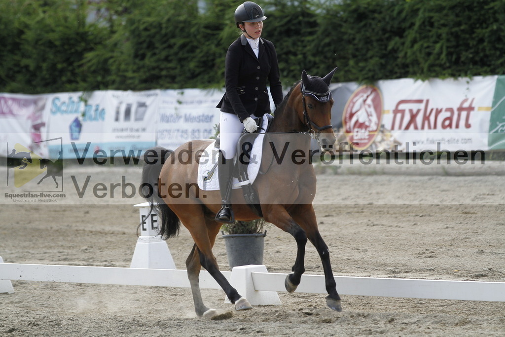 _MG_2271 | equestrian-live-com