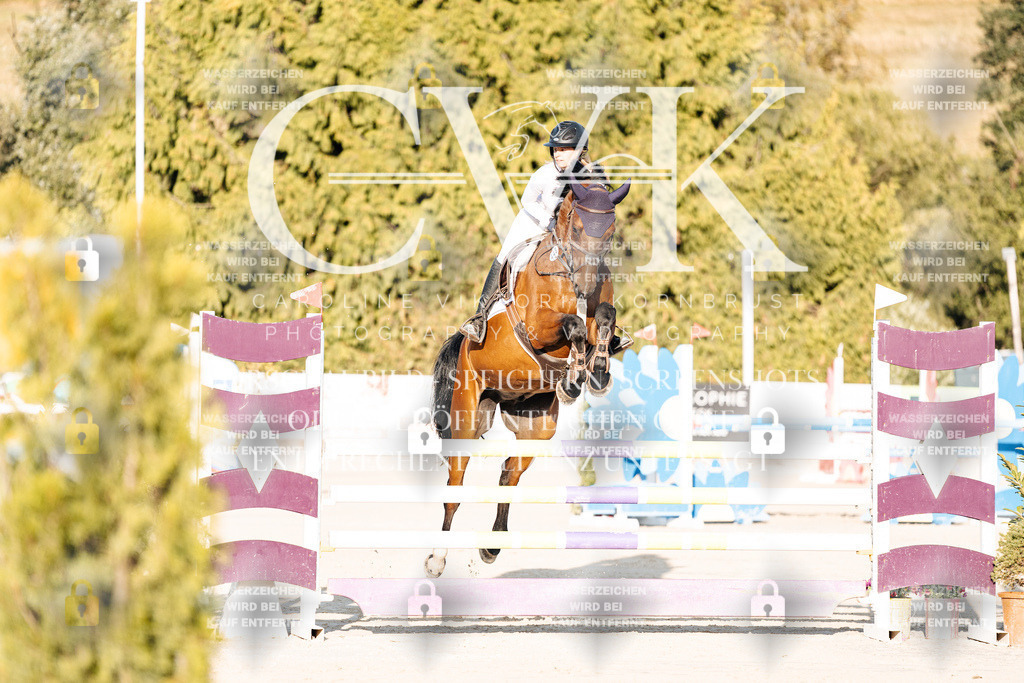CK900647 | Turnierfotografie Pferdefotografie Trier Rheinland-Pfalz Pferdesport Reitsport Tierfotografie Sportfotografie Pferdevideo Pferdevideografie Equestrianvideography equestrianphotography  - Realisiert mit Pictrs.com