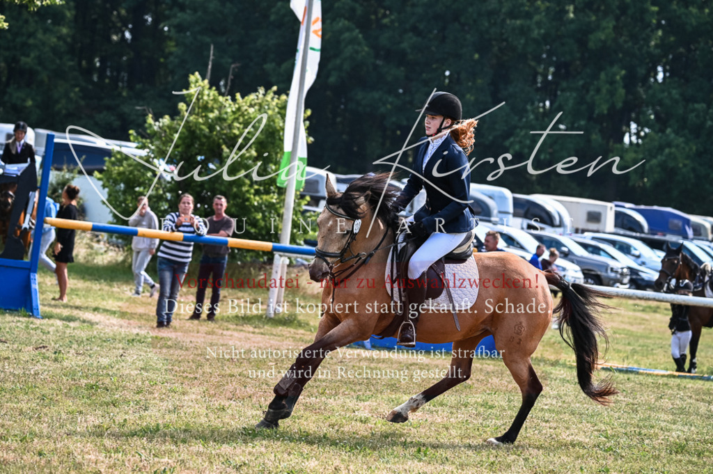 DSC_8037 | Pferde- und Turnierfotografie in Westsachsen. Pferdeportraits, Auftragszeichnungen und intuitive Kunst.