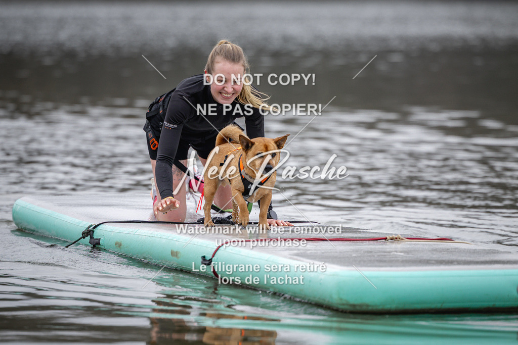 nelerasche_Hulsbeek_Sa1230-1330_638 | nelerasche