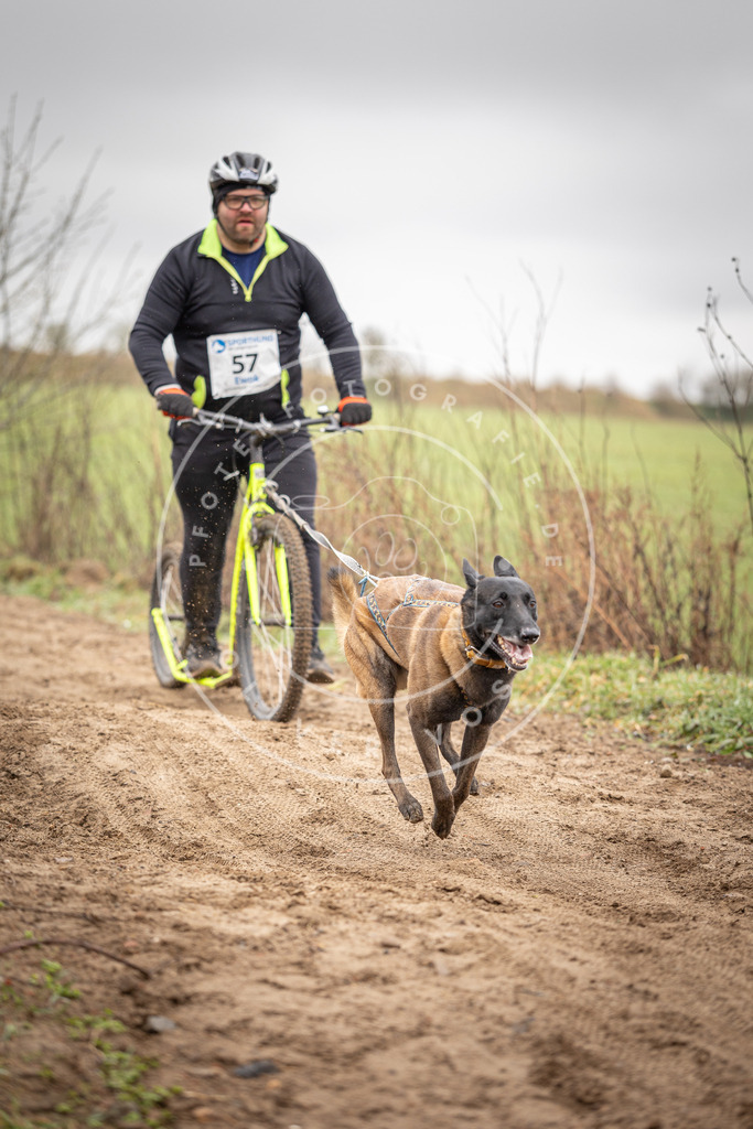 DV3A9305 | Hundefotografie, Tierfotograf, Pfotenfotografie, Fotoshooting Hund, Hunde Portrait, Hundesport, Hundeportraits, Heideshooting, Hunde, Sportfotograf, Hundefotograf, Turnierhundsport, THS,  - Realisiert mit Pictrs.com