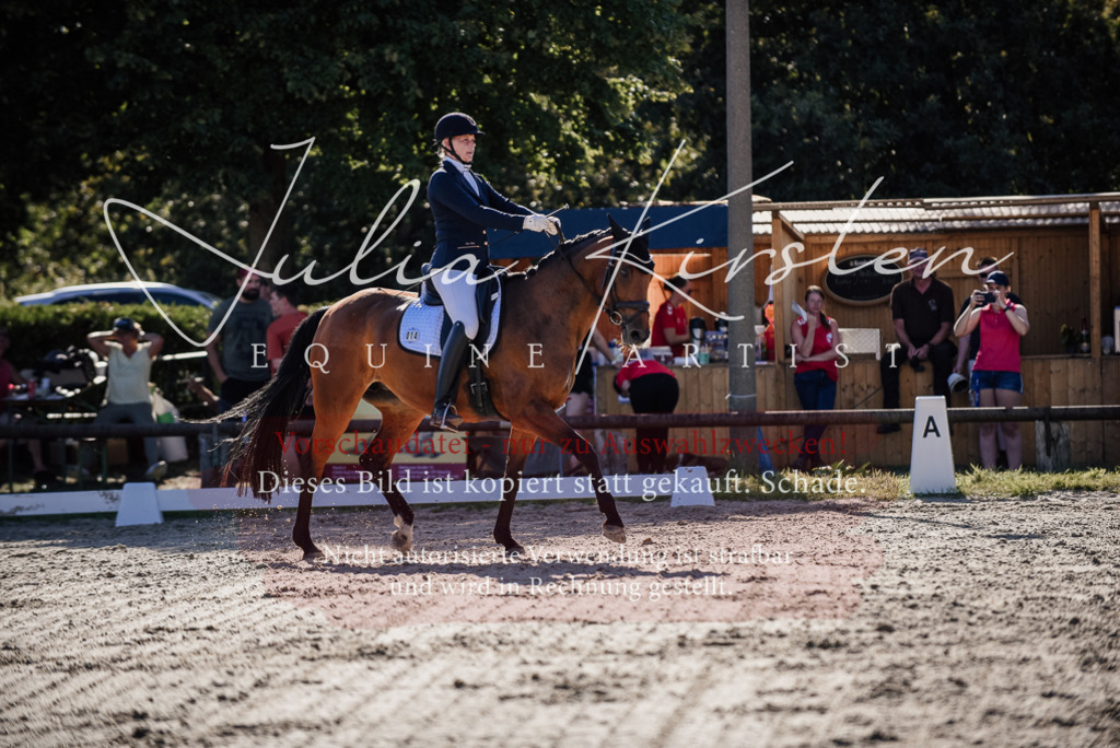 DSC_0392 | Pferde- und Turnierfotografie in Westsachsen. Pferdeportraits, Auftragszeichnungen und intuitive Kunst.