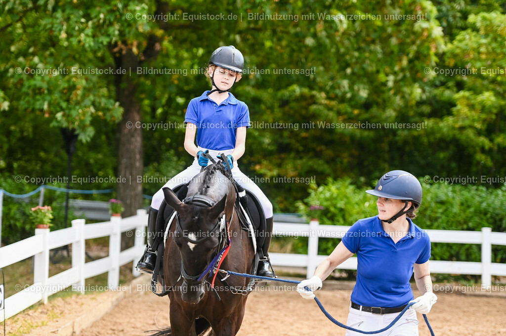 20230716_11_Führzügel-WB_0136 | equistock