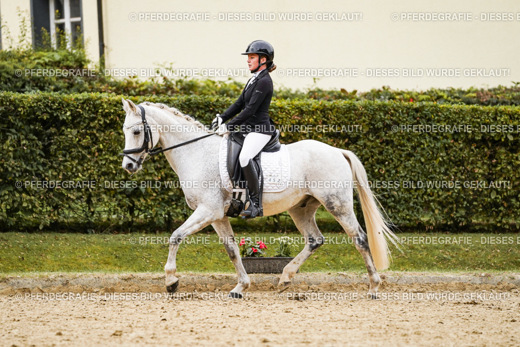 DSC07770 | Pferdegrafie