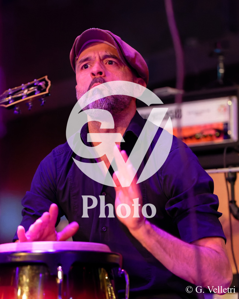 DSC_8209 | Velletri Photo