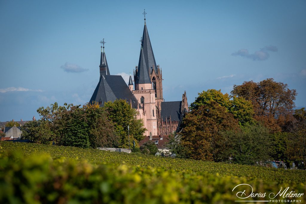 Katharinenkirche in Oppenheim | Die imposante Katharinenkirche in Oppenheim gilt als eine der bedeutendsten gotischen Kirchen am Rhein. Ihre Errichtung erfolgte in mehreren Bauabschnitten im 13., 14. und 15. Jahrhundert. Heute ist sie eine der schönsten Sehenswürdigkeiten in Rheinhessen.