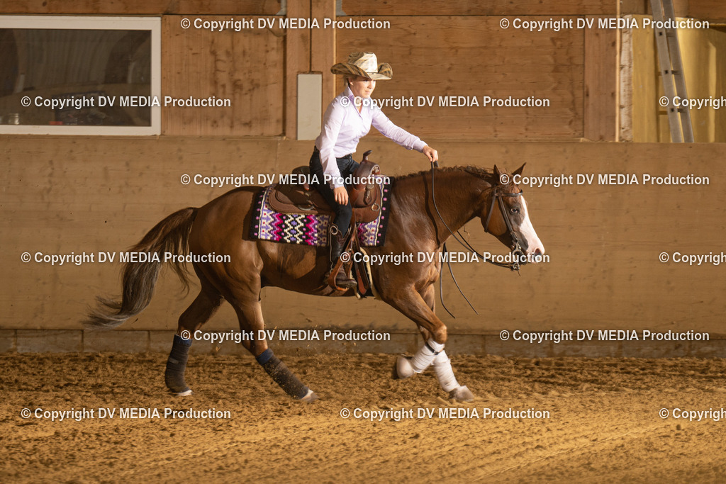 LAU00243 | dv-media-shop - Realisiert mit Pictrs.com