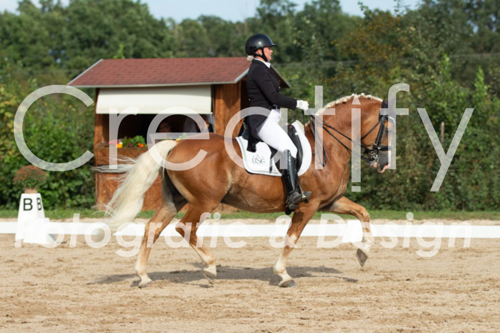 IMG_4488 | Creatify Fotografie