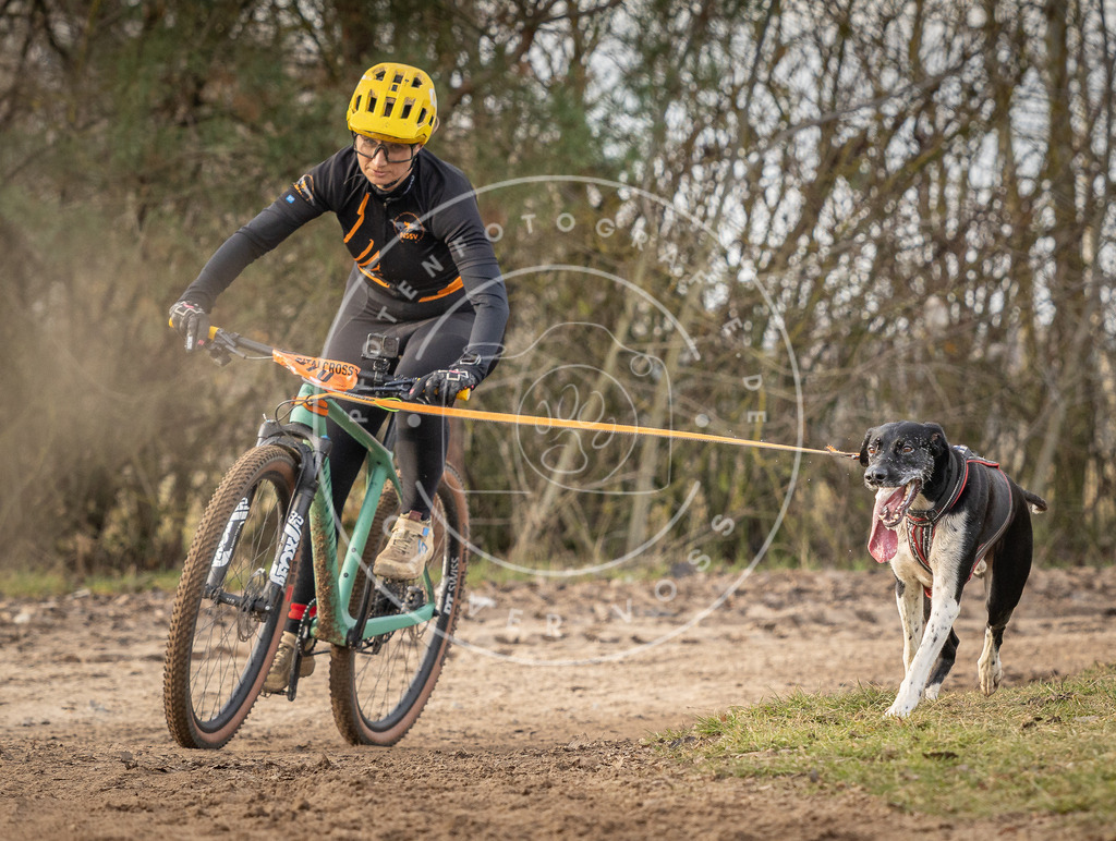 Pfotenfotografie_DV3A8052 | Hundefotografie, Tierfotograf, Pfotenfotografie, Fotoshooting Hund, Hunde Portrait, Hundesport, Hundeportraits, Heideshooting, Hunde, Sportfotograf, Hundefotograf, Turnierhundsport, THS,  - Realisiert mit Pictrs.com