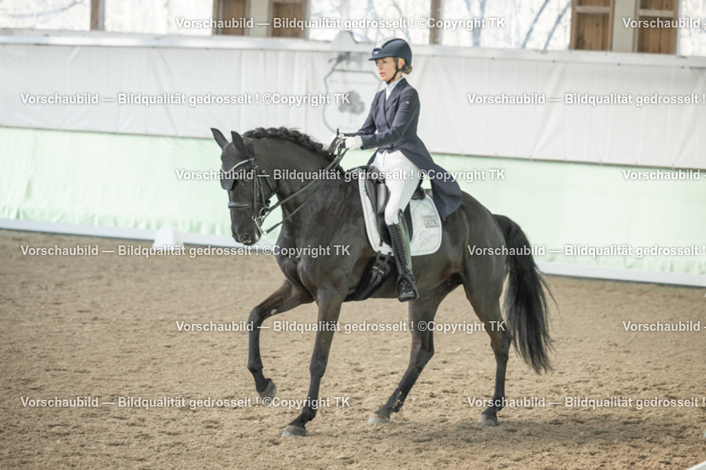 _D5A1153 | Emotionale Pferde- & People-Fotografie rund um Heidelberg, Leimen & Umgebung. Natürliche Fotos von Pferd, Mensch & Familie. Jetzt Termin sichern!