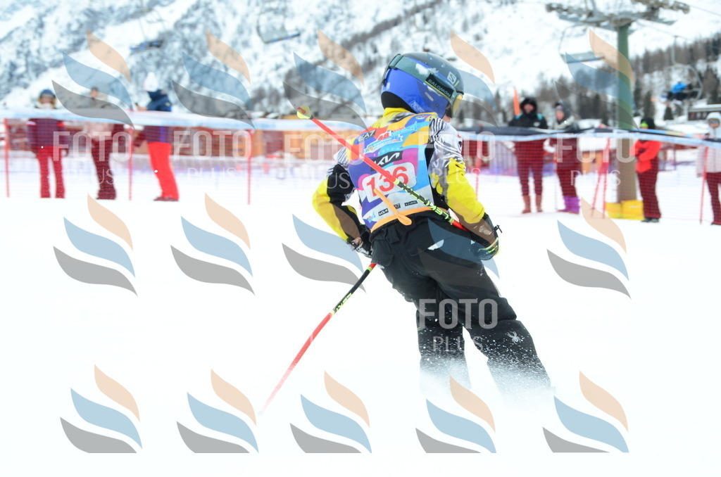 DSC_1363 | holidayphoto