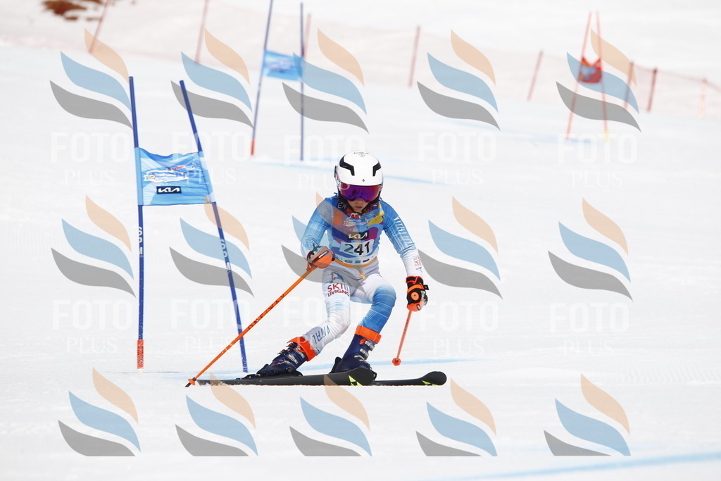 _U3G6120 | holidayphoto