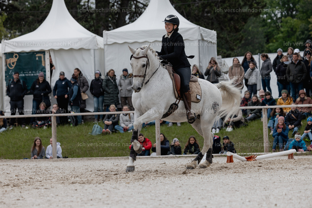 PI26_SP_StoibphotographyC2_C0095.jpg | working equitationturnier fotograf videograf stoibphotography marixx film working equitation deutschland reitsport turnierfotografie eventfotografie equestrian events