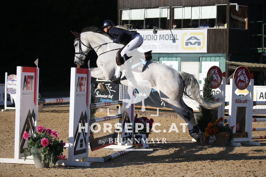 DL2Q0892 | Willkommen bei Brunnmayr - Design & Fotografie – Ihrem Spezialisten für Reitturniere und Pferdeveranstaltungen in Oberösterreich, Salzburg und Bayern! Seit über 17 Jahren sind wir leidenschaftlich dabei.