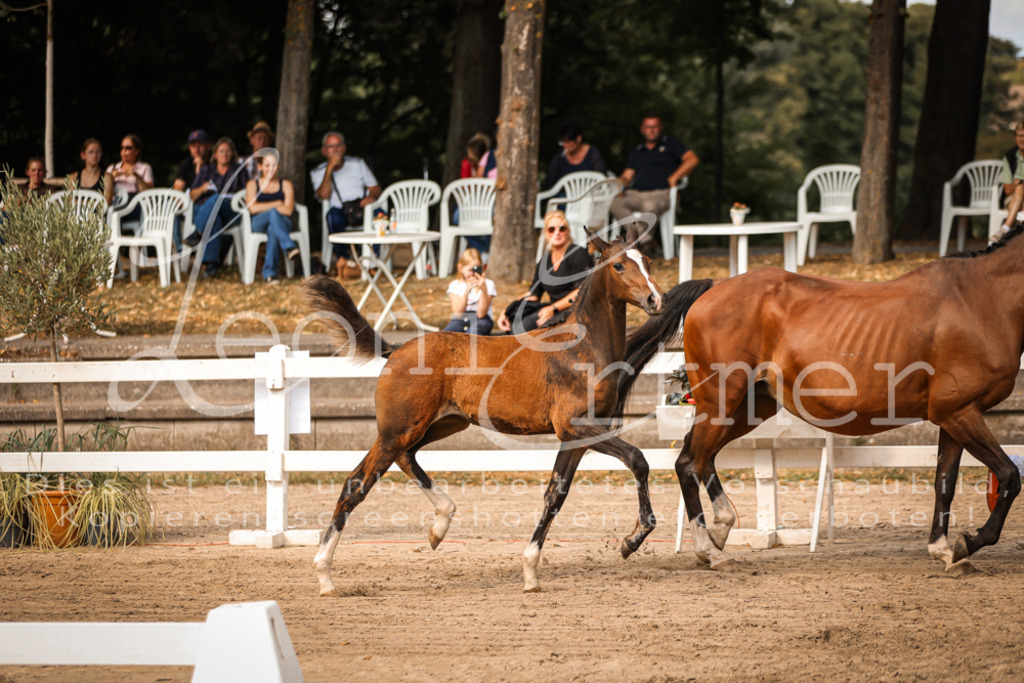 10.DoRP00093 | Leoni Ertmer Photography - Realisiert mit Pictrs.com