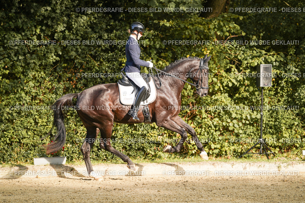 DSC04851 | Pferdegrafie