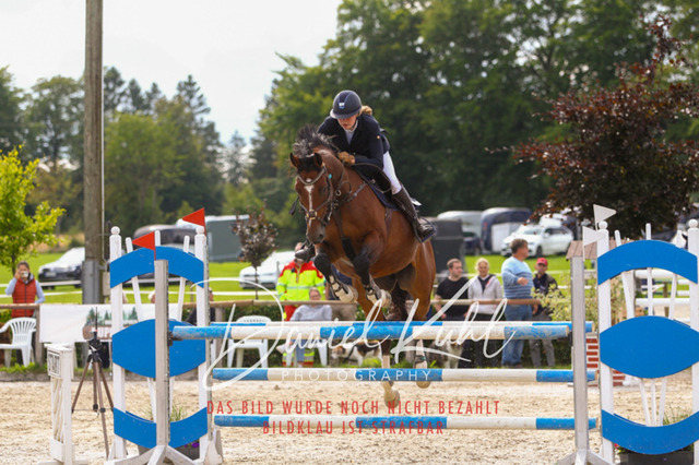 DKP43764 | Turniersportfotografie; Pferdefotografie; Dressurfotografie