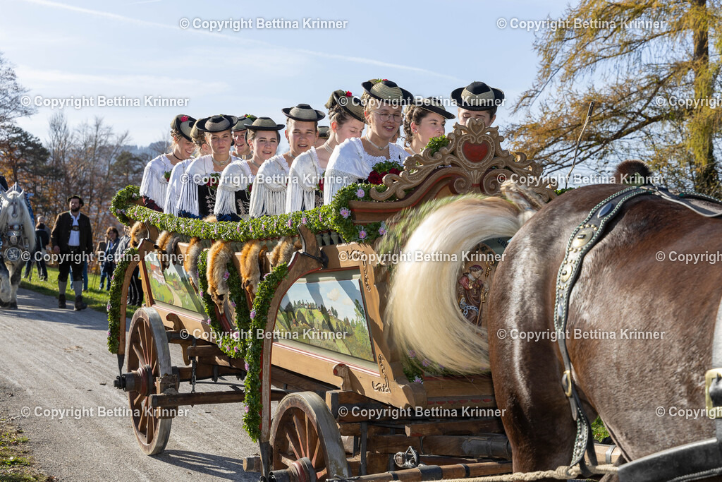 LBT24-1331 | foto-bettina-krinner - Realisiert mit Pictrs.com