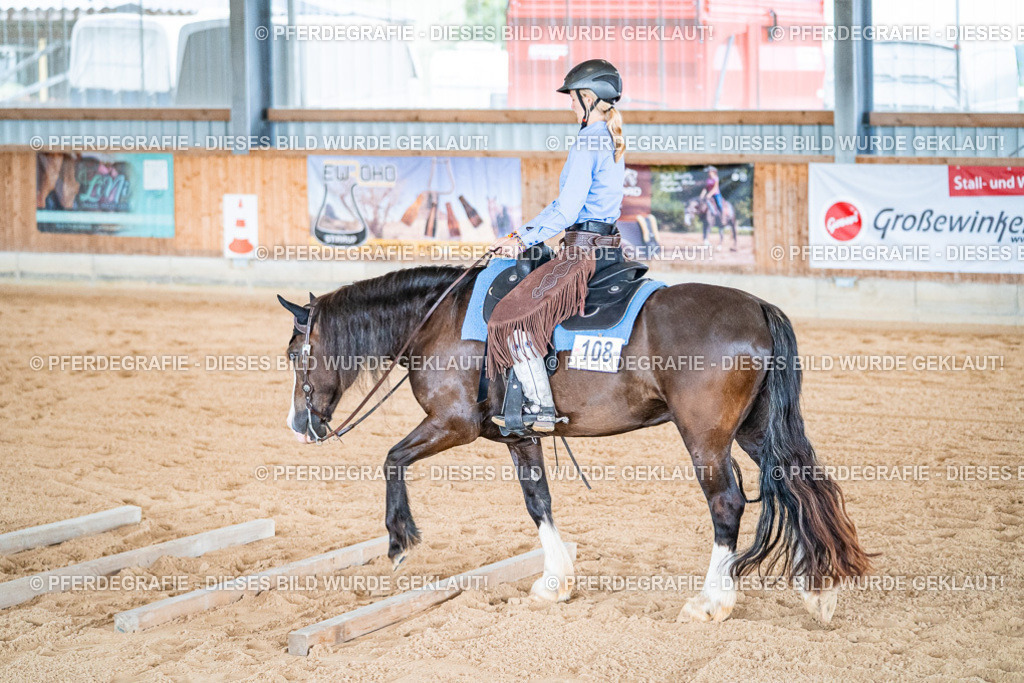 DSC09713 | Pferdegrafie