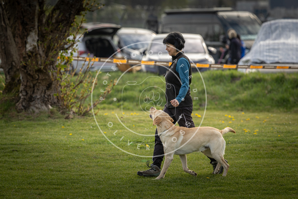 Pfotenfotografie_DV3A4915 | Hundefotografie, Tierfotograf, Pfotenfotografie, Fotoshooting Hund, Hunde Portrait, Hundesport, Hundeportraits, Heideshooting, Hunde, Sportfotograf, Hundefotograf, Turnierhundsport, THS,  - Realisiert mit Pictrs.com