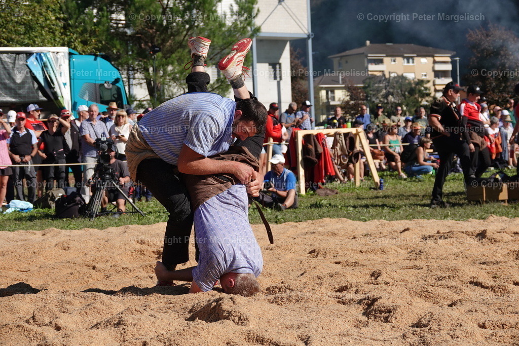 DSC01627 | Schwingen - Realisiert mit Pictrs.com