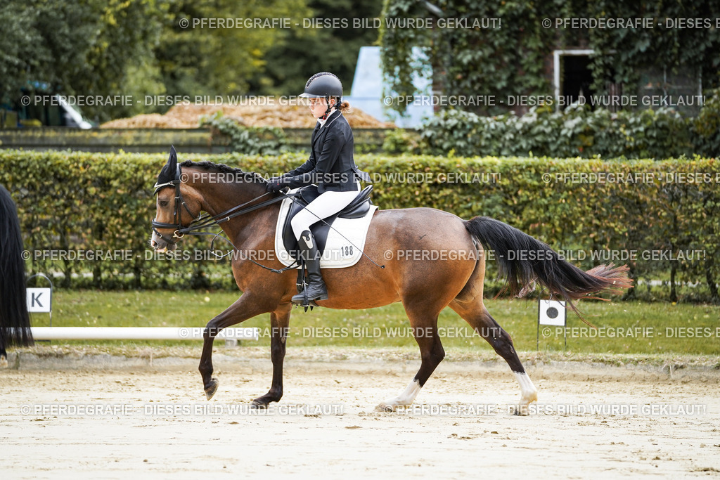 DSC04763 | Pferdegrafie