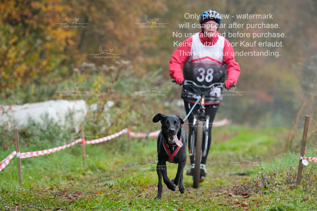 Visbeck_Sa_Scooter_Hcx-4 | stephaniefillaphotographie - Realisiert mit Pictrs.com