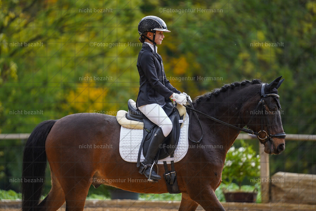 20221008-FAH00747 | Diessen am Ammersee, 2022, Dressur- und Springturnier, Reitsportbilder, Turnierfotografen Bayern, Pferdefotografen, Fotoagentur Herrmann, Turnierbilder