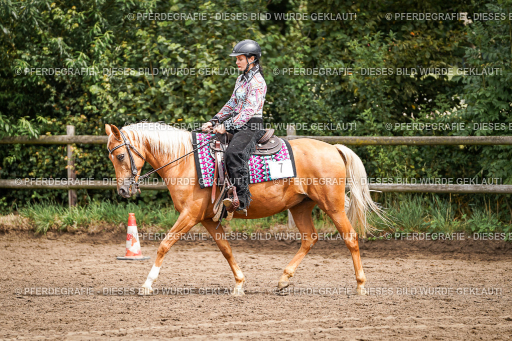 DSC04600 | Pferdegrafie