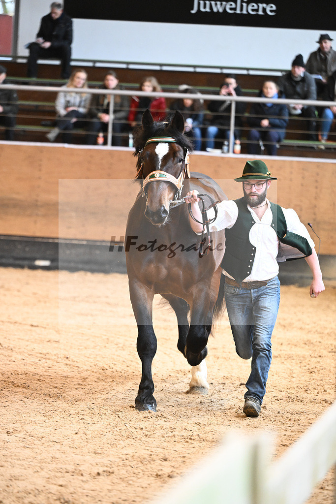 Kat-Nr. 4 v. Rubino I_Mitterer_6240027 | hf-fotografie - Realisiert mit Pictrs.com