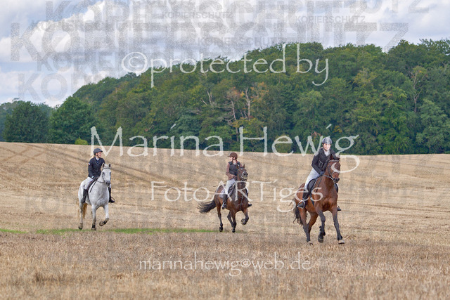 08-23 Bredeneek Jagd_MCH8914_Marina Hewig | Fotografie, FotoArt, PferdesportArt, Pferdesportfotografie, Landschaftsfotografie, Reisefotografie, Reise, Pferde - Realisiert mit Pictrs.com