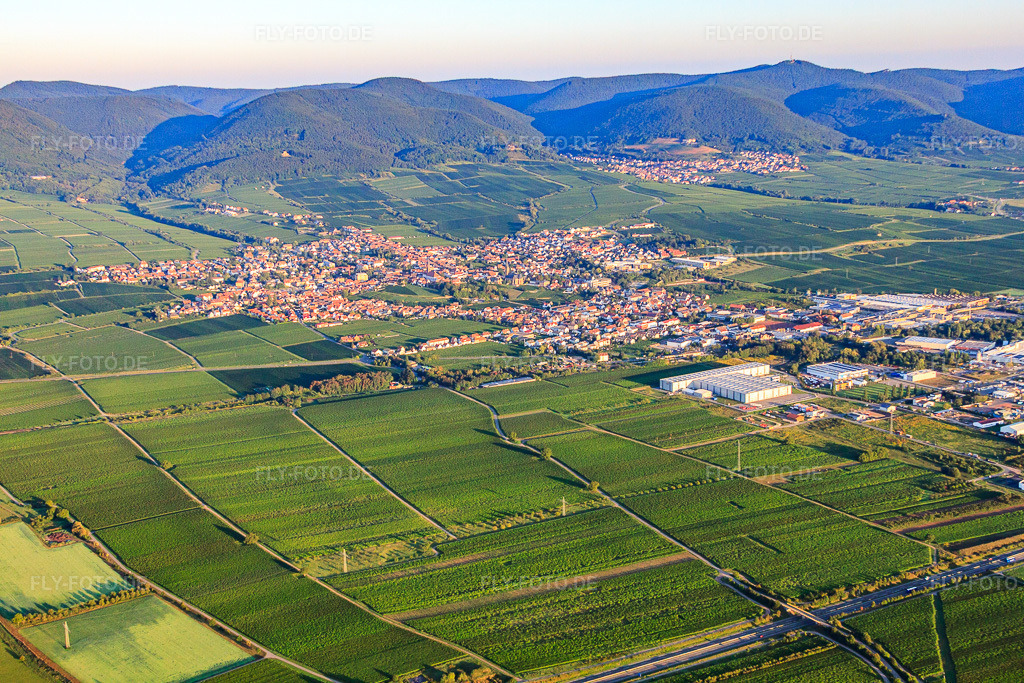 Luftbild: Stadtansicht von Südosten Im Hintergrund St. Martin am Haardtrand des Pfälzerwalds im Morgenlicht in Edenkoben im Bundesland Rheinland-Pfalz in Deutschland. Foto: IMG_44332.jpg vom 20.08.2011 durch Werner Riehm/FLY-FOTO.de