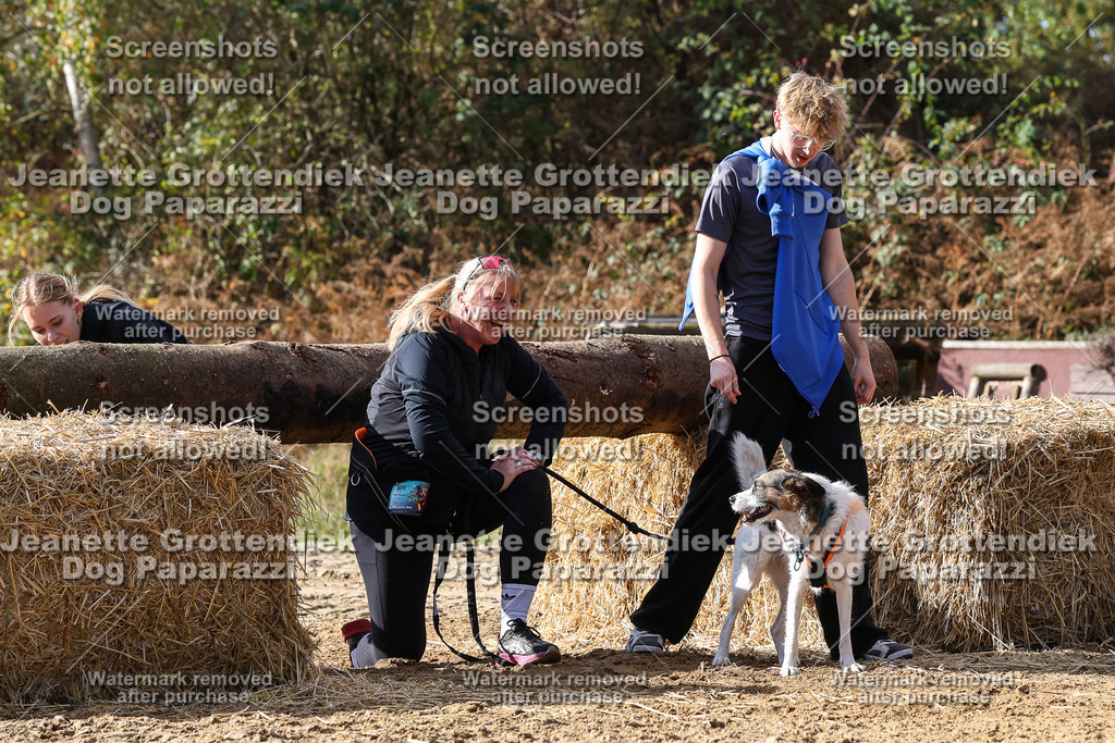 Dog Paparazzi - Strongdog 10-25-5182 | Dog Paparazzi Jeanette Grottendiek Fotografie & Videografie - Realisiert mit Pictrs.com