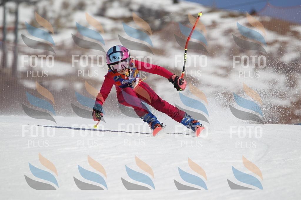 _U3G9769 | holidayphoto