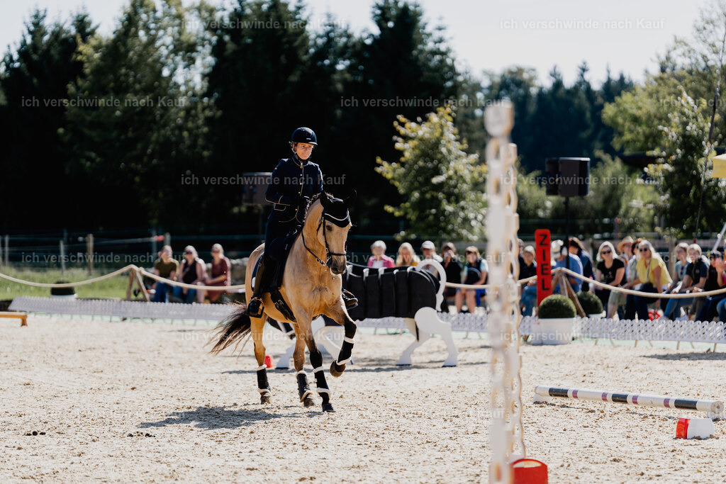 Diana11_FHC2025-09054 | working equitationturnier fotograf videograf stoibphotography marixx film working equitation deutschland reitsport turnierfotografie eventfotografie equestrian events