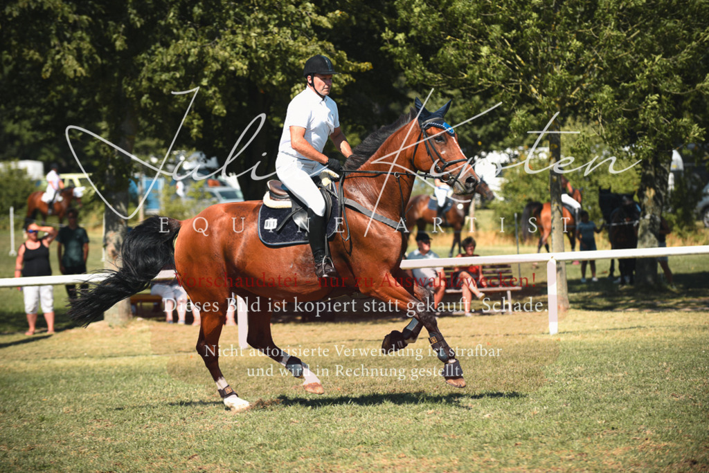 DSC_7121 | Pferde- und Turnierfotografie in Westsachsen. Pferdeportraits, Auftragszeichnungen und intuitive Kunst.